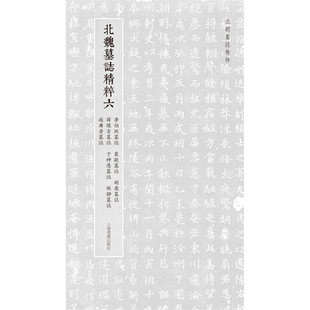 北朝墓志精粹·北魏墓誌精粹六 博库网