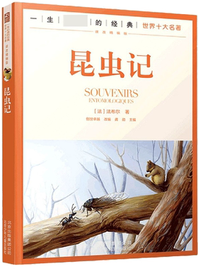 昆虫记(课改精编版)/一生必读的经典世界十大名著 博库网