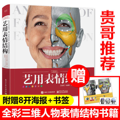 艺用表情结构黄朝贵哥
