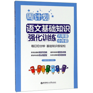 2024新版 周计划 小学语文基础知识强化训练六年级小升初 6年级上册下册通用版 小学生提升专题练习册教辅辅导大全工具书/正版