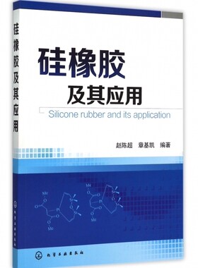 硅橡胶及其应用  硅胶橡胶制品生产制备 工艺配方制备工艺书 橡胶材料与配方生产加工制造工艺技术教程书籍