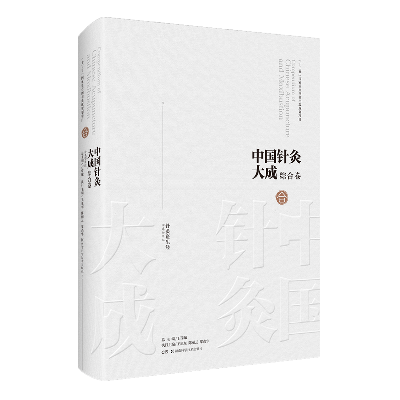 中国针灸大成·综合卷（针灸资生经） 官方正版 博库网