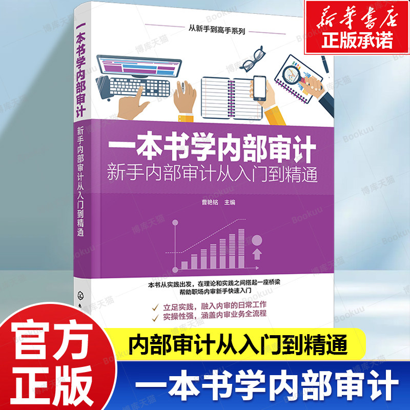 一本书学内部审计 新手内部审计从入门到精通 从新手到高手系列 解析审计思维和方法 审计方案 实用技能 帮助职场内审新手快速入门