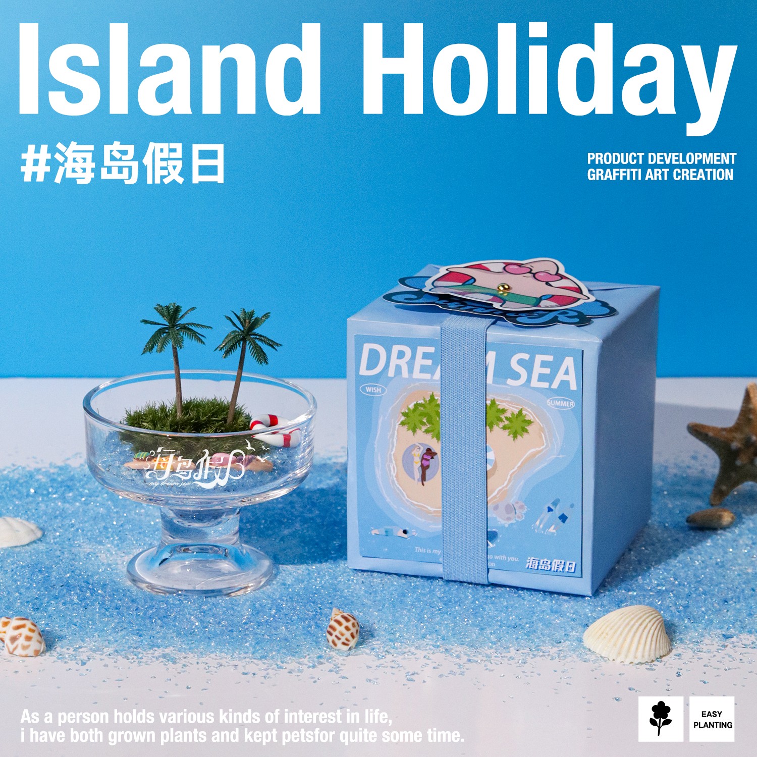 涂鸦造物 x 博库 苔藓微景观创意桌面植物办公室盆栽绿植diy礼物