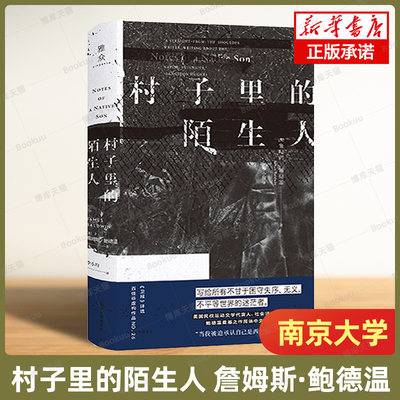 村子里的陌生人 美国文学 詹姆斯·鲍德温散文集 守望者·镜与灯 展示了一种审视世界与自身的可能性 社会学书籍 南京大学出版社