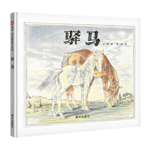 《驿马》 博库网