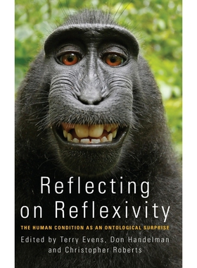 Reflecting on Reflexivity 博库网