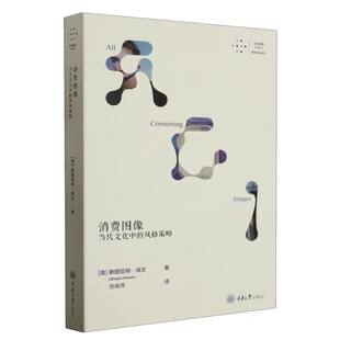 博库网 策略 消费图像：当代文化中 风格