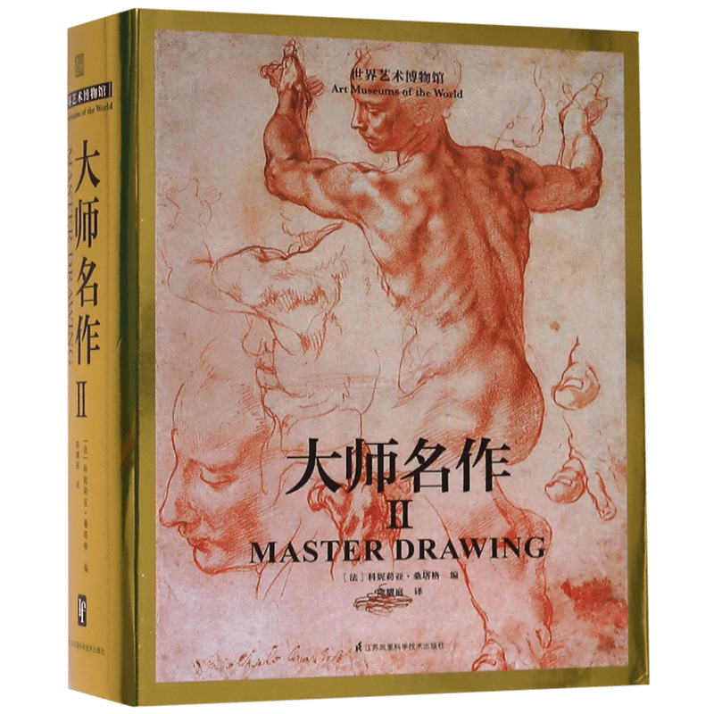 世界艺术博物馆大师名作Ⅱ 科妮莉亚桑塔格 文艺复兴西方美术艺术简史绘画大师经典作品精选集临摹鉴赏收藏名家画作达芬奇梵高莫