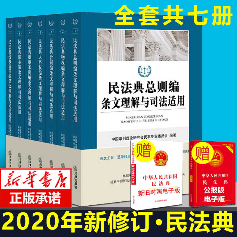 民法典2020年版民法典总则编条文理解与司法适用全国新修订版合同人格权婚姻家庭继承侵权责任法编条文主旨逐条释义案例指导