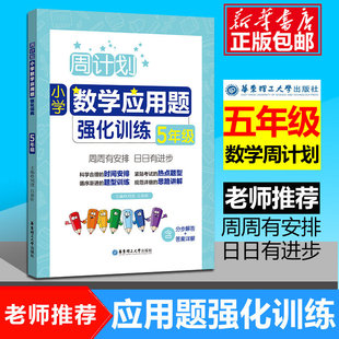 2024周计划小学数学应用题强化训练5年级五年级上册下册全一册全国通用