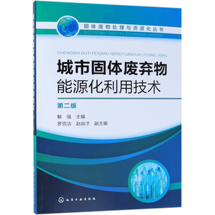 正版 固体废物处理与资源化丛书 城市固体废弃物能源化利用技术 第二版 解强 著 城市固体废弃物处理处置方法技术构成预处理指南书