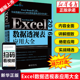 秘应用技术内幕 Excel软件高效办公软件教程书 ExcelHome揭秘Excel数据透视表 Excel 多项 2016数据透视表应用大全 现货速发