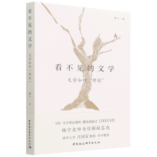 正版书籍 看不见的文学：文学如何理论 杨宁 著 哔哩哔哩B站知名up主文学理论 据B站课程《杨宁老师的文学启示课》课程讲稿改编