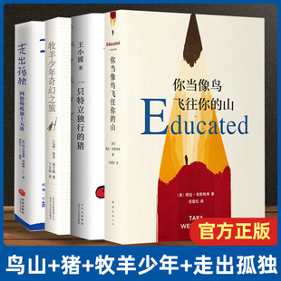 走出孤独 上官喜爱推 牧羊少年奇幻之旅共4册现当代文学外国散文随笔畅销书 一只特立独行 你当像鸟飞往你 猪王小波 山 荐书单