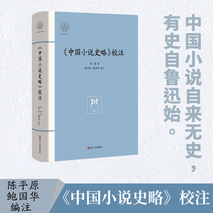 精 中国小说史略校注 浙江文化研究工程成果文库 大家读浙学经典 现当代文学散文随笔畅销书籍排行榜 鲁迅著