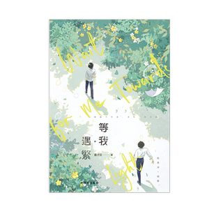 【任选】等我遇繁 放学等我 吧唧色纸镭射票立牌衍生周边谷子 小说 酱子贝 我等你很久了校园青春文学实体书