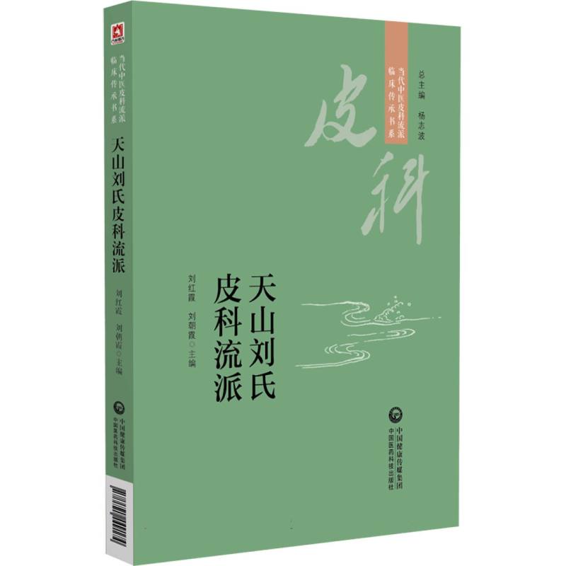 天山刘氏皮科流派/当代中医皮科流派临床传承书系 博库网