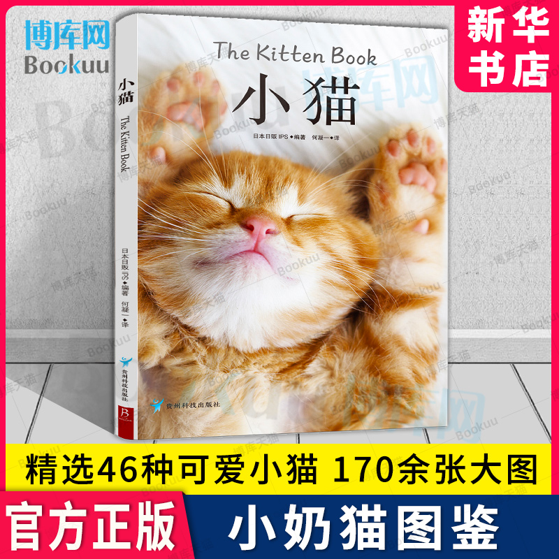 猫 猫图鉴书 猫图鉴猫咪书籍养猫指南养猫手册宠物书籍喂养猫品种大全