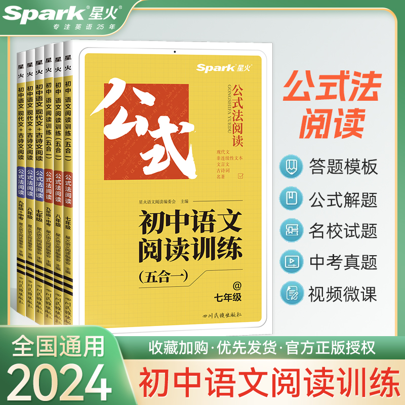 2024星火巅峰训练初中语文阅读理解专项训练书七合一文言文现代文阅读组合训练练习题册初一二三七八九年级中考语文满分公式-封面