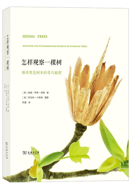 怎样观察一棵树探寻常见树木的