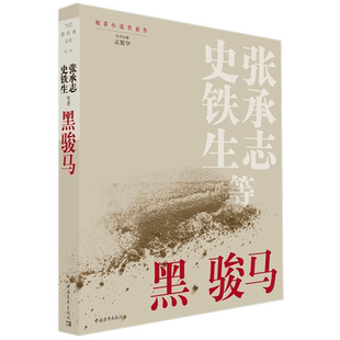 黑骏马 张承志,史铁生 等 正版书籍小说畅销书   博库网