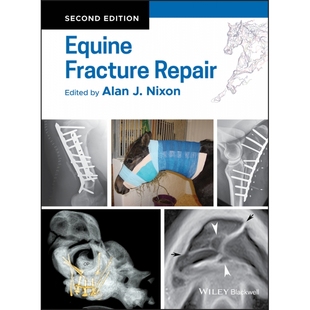 Repair 博库网 Fracture Equine