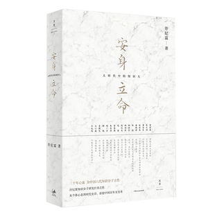 安身立命 大时代中的知识人 许纪霖 思想史 五四 梁漱溟 王小波 近现代思想史 知识分子研究 另著/家国天下 上海人民出版社