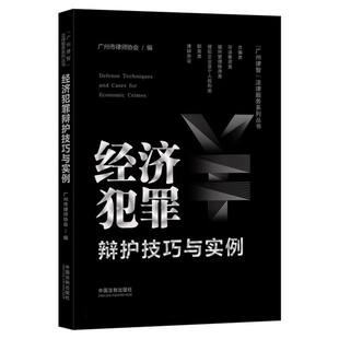 经济犯罪辩护技巧与实例 博库网