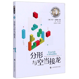 分形与空当接龙/马丁·加德纳数学游戏全集 博库网