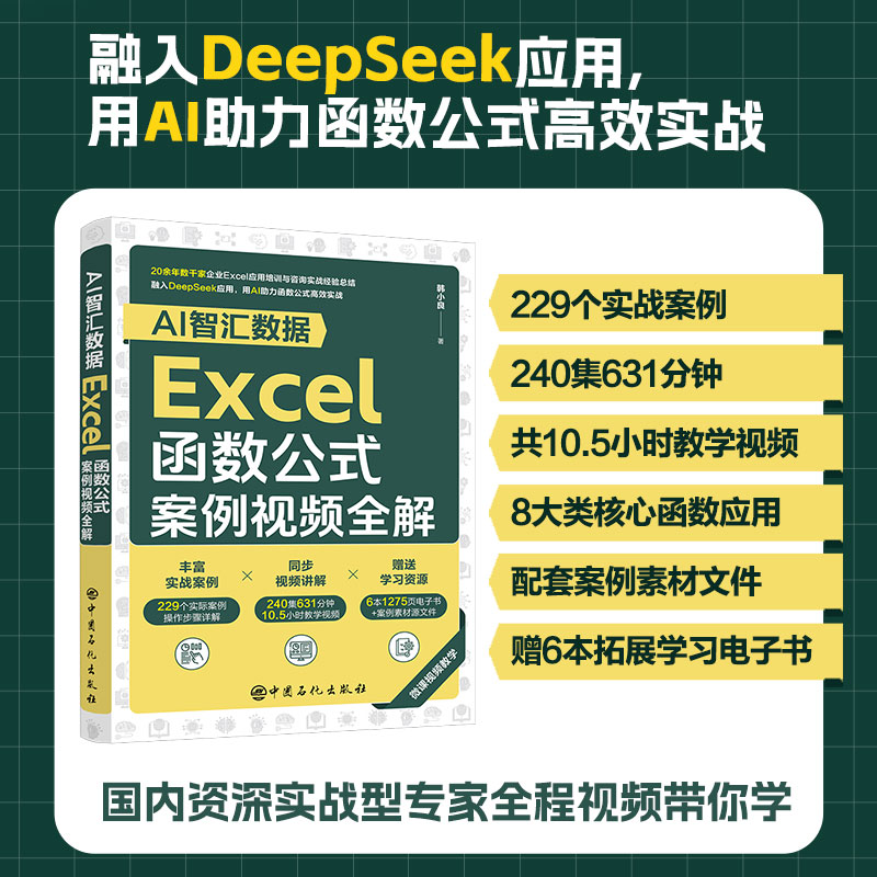 AI智汇数据：Excel函数公式案例视频全解 博库网