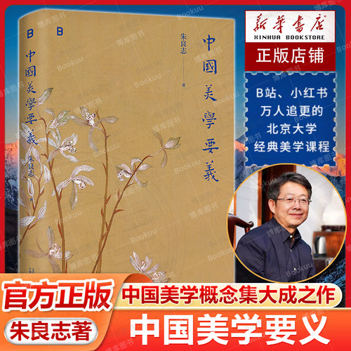 中国美学要义 朱良志教授的经典美学课程 北京大学博雅讲席教授 文津图书奖获奖者一部写给大众的中国美学读物 美学要义现当代文学