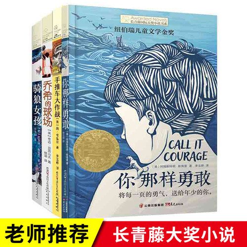 长青藤 大奖小说书系 你那样勇敢 乔希的球场 儿童文学8-10-12-15岁少儿读物 三四五六年级小学生课外阅读书籍 骑狼女孩正版