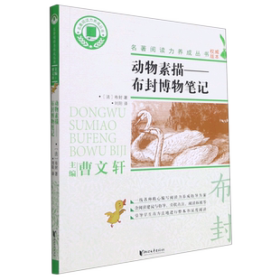 动物素描 布封博物笔记/名著阅读力养成丛书 布封|译者刘阳 初中小学生9-12-15岁课外阅读物 动物世界鸟的世界科普书 浙江文艺出版