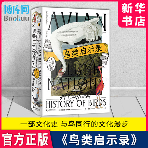 鸟类启示录与鸟同行的文化漫步