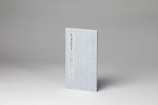 隋代墓志精粹五：梁衍墓志、长孙懿墓志、宇文穆墓志、田保洛墓志、陈叔兴墓志、杜琳墓志、杜粲墓志、普六如徽之墓志、长孙汪墓