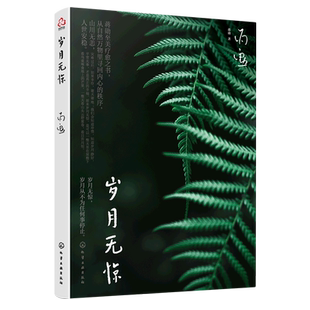 现货 蒋勋新作 岁月无惊 赠蒋勋音频d白 至美疗愈之书 暖心读物优美散文小说 蒋勋图文插画新作 唯美文字 回归自然生活的珍贵记忆