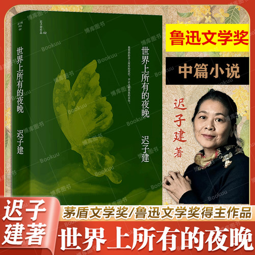 世界上所有的夜晚 (迟子建作品)茅盾文学奖 鲁迅文学奖得主迟子建小说代表作 中短篇小说 现当代文学畅销书籍 新华正版