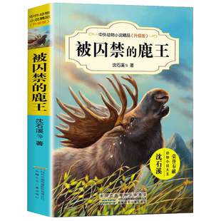 被囚禁的鹿王 沈石溪中外动物小说精品升级版 9-12岁儿童文学励志动物成长故事 三四五六年级小学生课外阅读书 安徽少年儿童出版社