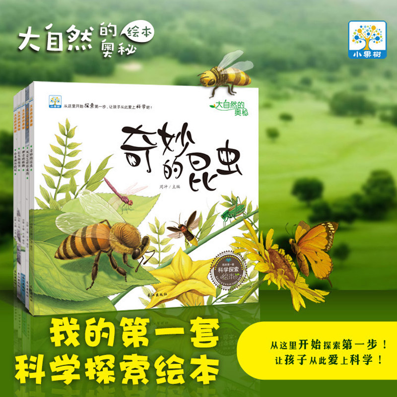 奇妙的昆虫 3-4-6-8-9岁幼儿科普故事书 幼儿园动物植物科学探索启蒙