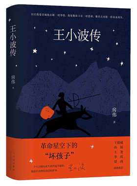王小波传房伟著人物传记新修版