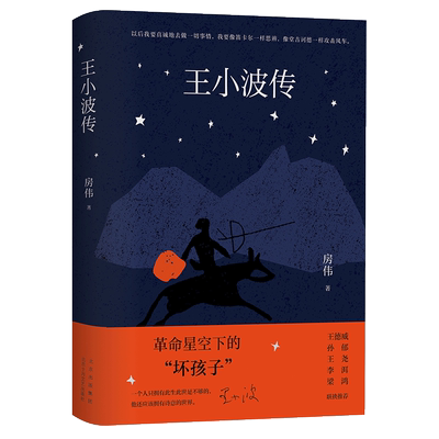 王小波传房伟著人物传记新修版