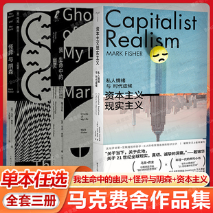 我生命中的幽灵:关于抑郁症、幽灵学和消失的未来/怪异与阴森/资本主义现实主义 马克费舍作品集新行思守望者镜与灯社会学正版书籍