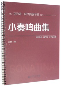小奏鸣曲集 刘竹君 编注 正版书籍   博库网