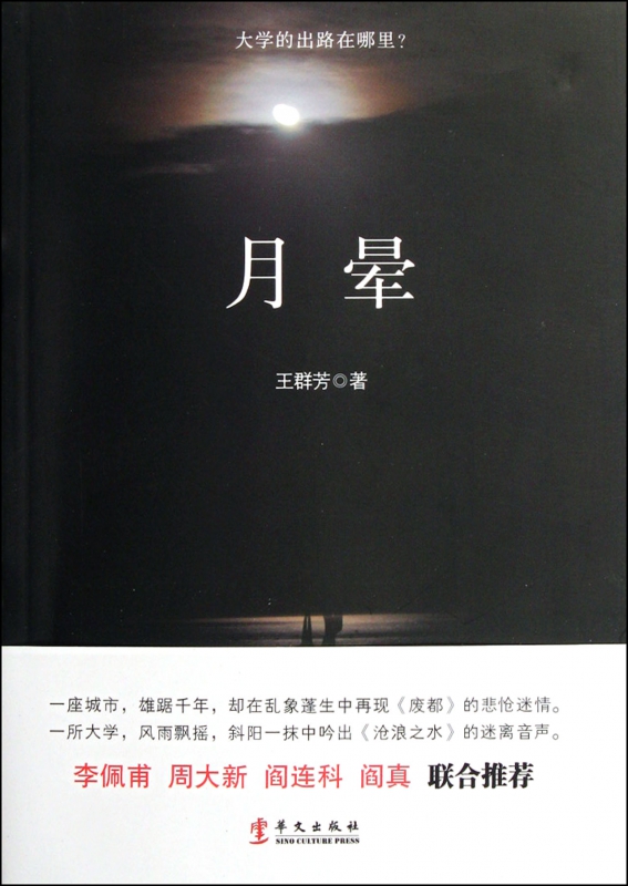 月晕 王群芳 正版书籍小说畅销书   博库网