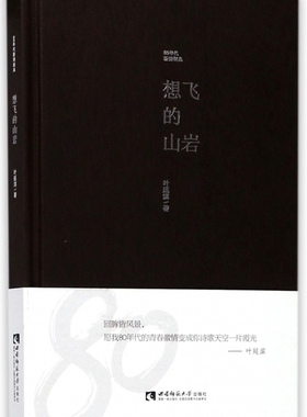 想飞的山岩 叶延滨 著 正版书籍小说畅销书   博库网