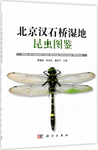 北京汉石桥湿地昆虫图鉴 博库网