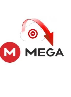 MEGA代下载高速 mega数据集网课人工代下载文件资料服务