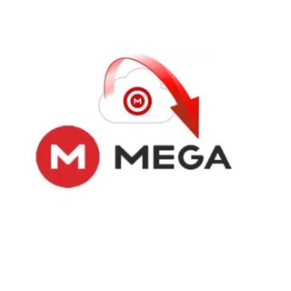 MEGA代下载高速 mega数据集网课人工代下载文件资料服务