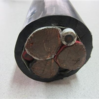 CJPJ/NC船用电缆-硅橡胶电缆,耐高温电缆,机车电缆